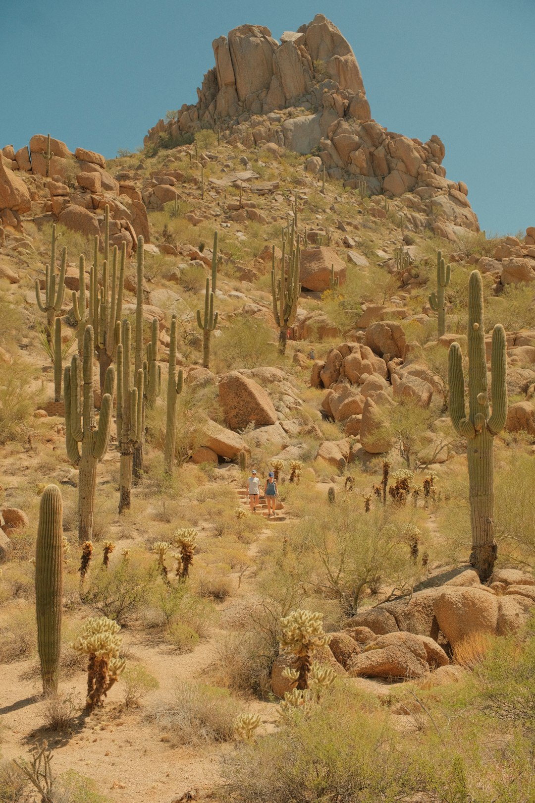 Saguaros and granite boulders below Pinnacle Peak in North Scottsdale